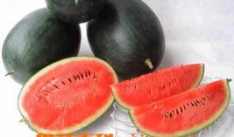 黑料设网红精品吃瓜,黑料背后的精品吃瓜盛宴