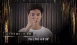 大鹰爆料大姐是谁啊视频,大姐身份之谜