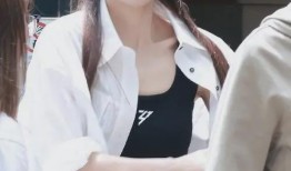 陈国良爆料陈丽君视频,陈国良揭露陈丽君惊人视频真相