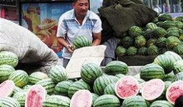 康县网红吃瓜二拼是谁家的,揭秘康县神秘美食家族传奇